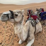 Photo taken by Evelyn K