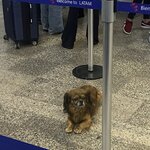 Photo taken by Alyssa R