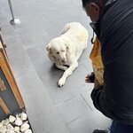 Photo taken by Lilian T