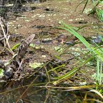 Photo taken by Maggie K