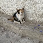 Photo taken by Donna F