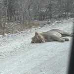 Photo taken by Nigel R