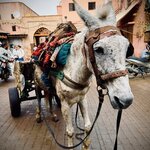 Photo taken by Colin M