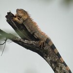 Photo taken by Julie S