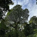 Photo taken by christy l