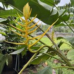 Photo taken by SANTHI S