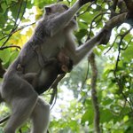 Photo taken by Alexandra G