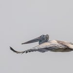 Photo taken by Graham D