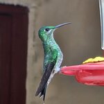 Photo taken by Touraj K