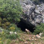 Photo taken by Shawn G