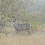 Photo taken by Linette B