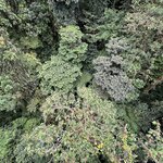 Photo taken by Ben B