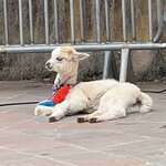 Photo taken by joy w