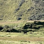 Photo taken by enrique jose g