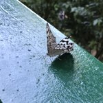 Photo taken by Deborah M