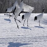 Photo taken by Iain M