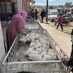 Photo taken by Mark W