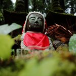 Photo taken by Caroline K