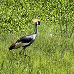 Photo taken by Michael L