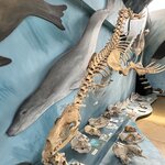 Photo taken by Yelena L