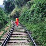 Ella tracks | Photo taken by Andrew H