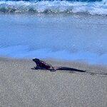 Photo taken by Norma G