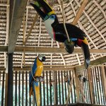 Photo taken by Steven M