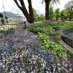 Photo taken by Susan K