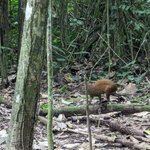 Photo taken by Jacob S