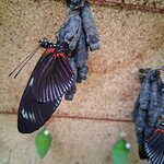 Photo taken by Elise C