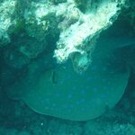 Photo taken by Chris M