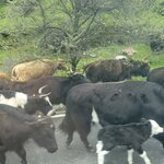 Photo taken by Vitaliy V