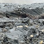 Photo taken by Deann M