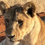 Photo taken by Sandro P