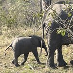 Photo taken by Joanne B