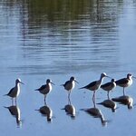 Photo taken by Kaye D