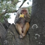 Photo taken by Brian U