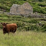 Photo taken by Peter B