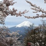 Photo taken by Marianne O