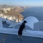 Photo taken by Diana N