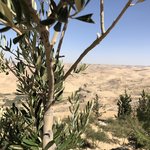 Photo taken by Marion M