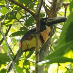 Photo taken by Dawne D