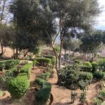 Photo taken by Leslie G