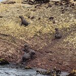 Photo taken by Don P