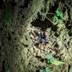 Photo taken by Kiko S