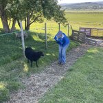 Photo taken by Anita H