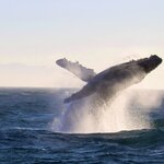 Photo taken by Debbie W