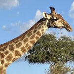 Photo taken by rhonda c