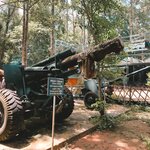 Photo taken by Molly P