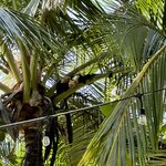 Photo taken by Eric L